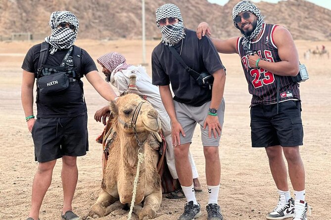Desert safari cu camile