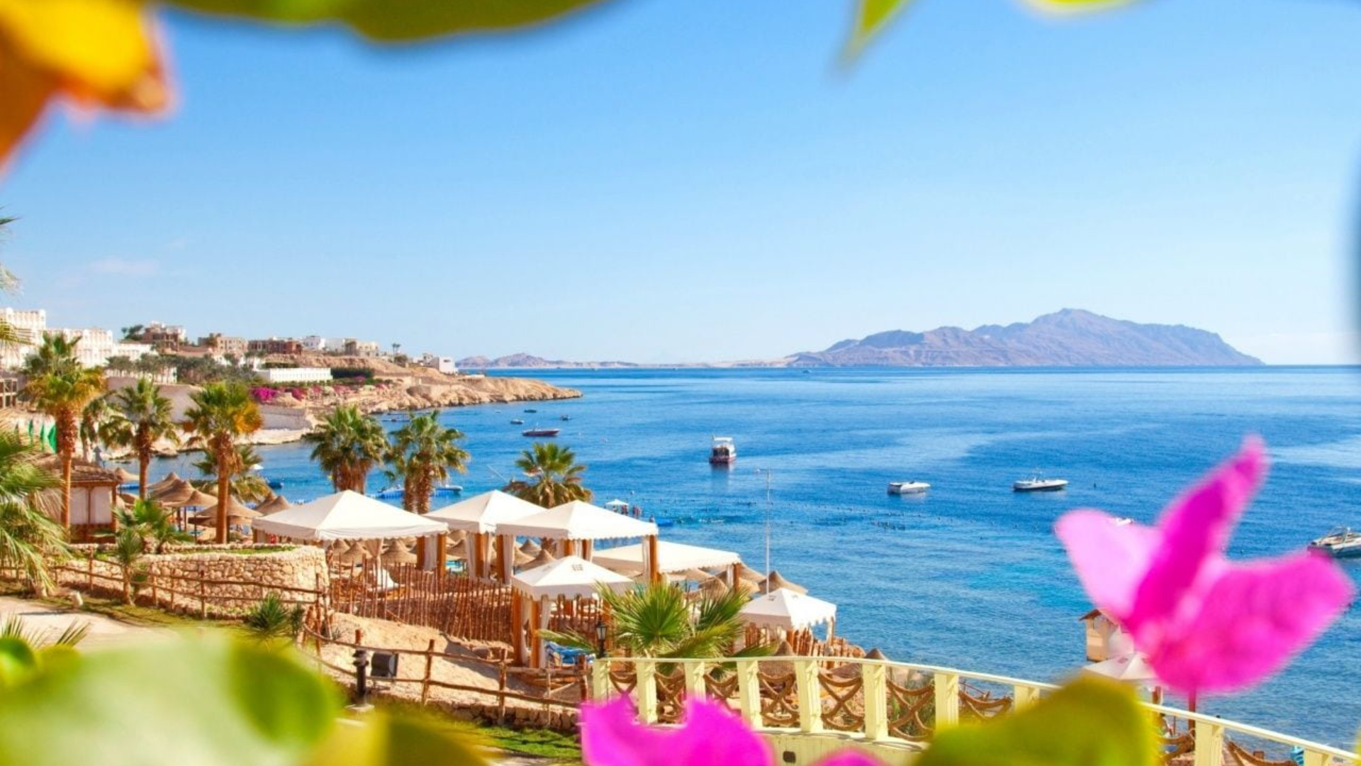 Plaja cristalina Sharm El Sheikh cu palmieri